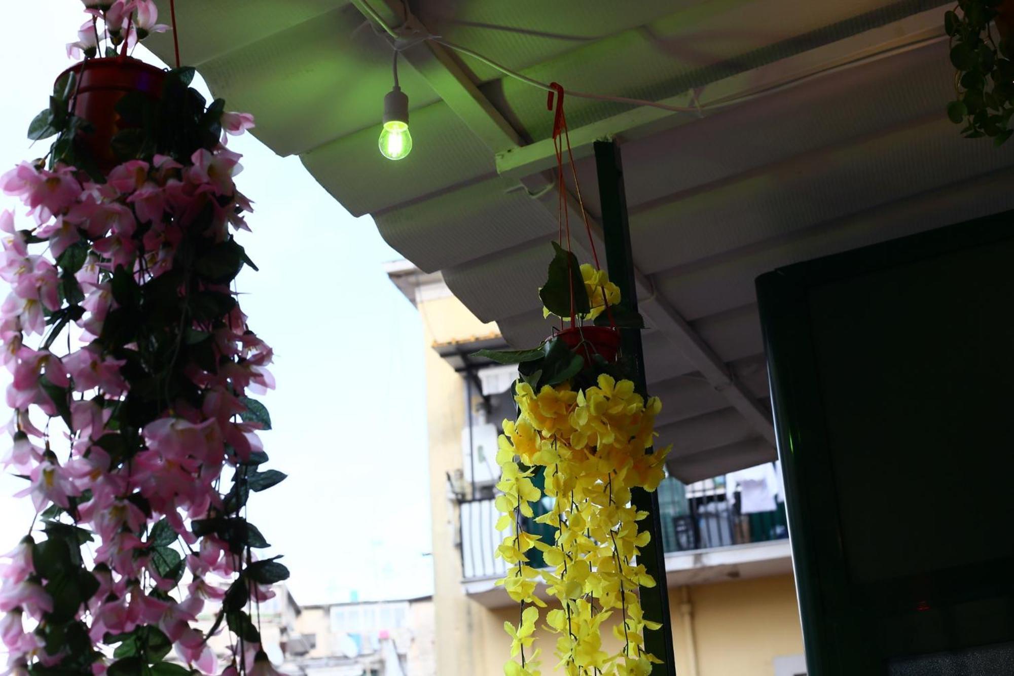 Mama Mia House Daire Napoli Dış mekan fotoğraf